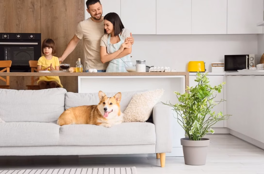 NAS à la maison : 5 modèles testés et recommandés en 2026