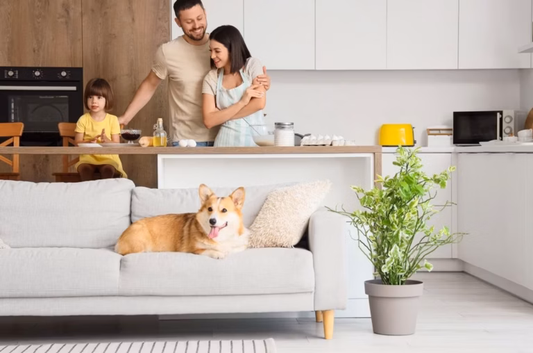 NAS à la maison : 5 modèles testés et recommandés en 2026